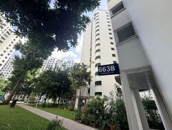 Blk 663B Jurong West Street 65 (Jurong West), HDB 5 Rooms #524329141